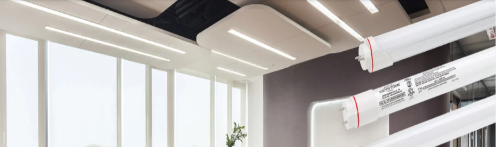 LED tube lights in modern office with large windows and ceiling light fixtures