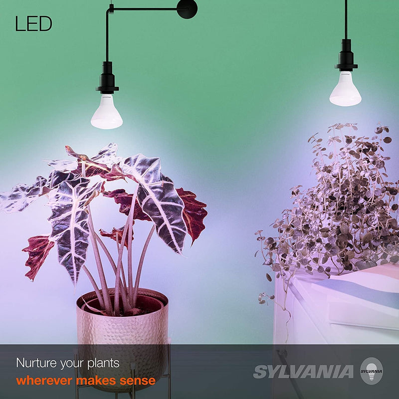 Sylvania ULTRA LED BR30 Grow Lamp with E26 Medium Base - 18W, 120V - 40071-LeanLight