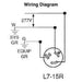 Leviton 4750 NEMA L7-15R 15 Amp 227 Volt Duplex Locking Receptacle with Ground-LeanLight