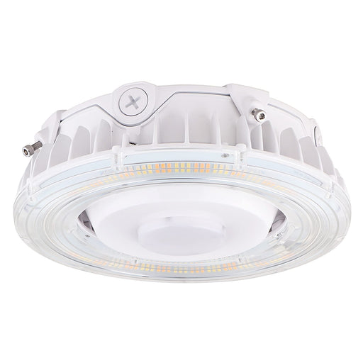 Euri Lighting ECR-100W103s Waterproof LED Canopy Light - 100W, 3000K-5000K-LeanLight