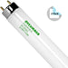 Sylvania 22438 (2 Pack) FO32/V41/ECO T8 Linear Fluorescent Lamps - 4100K, 32W, 4'-LeanLight