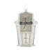 Euri Lighting EFL-140W-MD Smart LED Flame White Wall Lantern with Clear Lens - 3000K, 12W, 120V-LeanLight